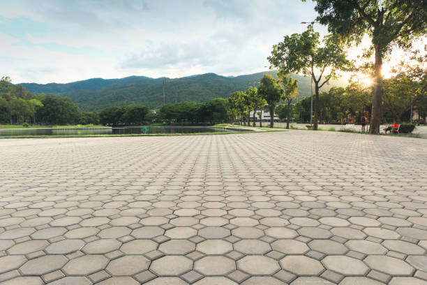 Best Permeable Paver Driveway  in Pleak, TX