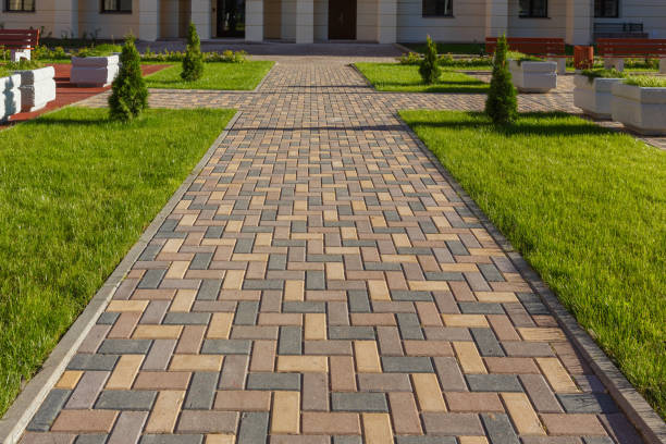 Reasons to Select Us for Your Driveway Paving Requirements in Pleak, TX